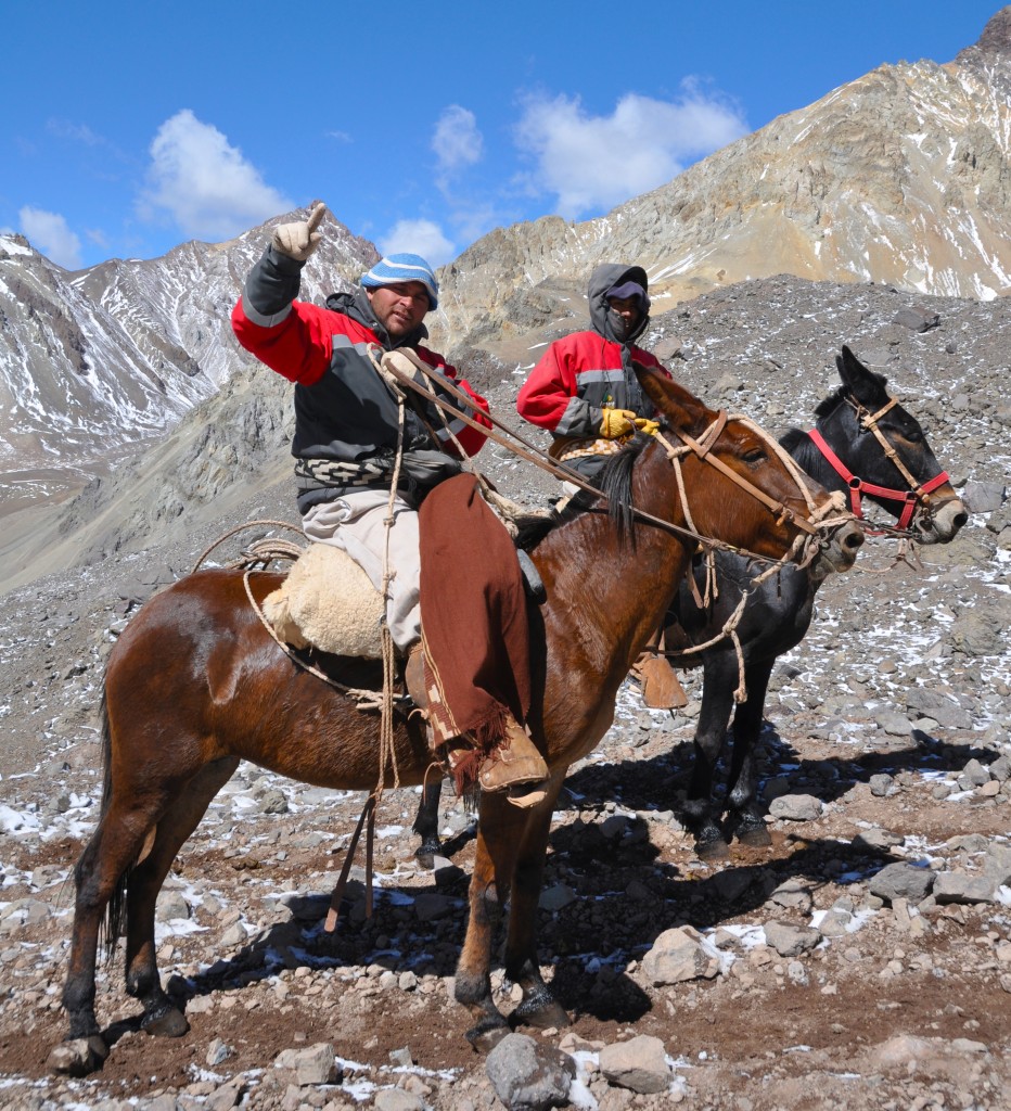 128 2016-01-24 Aconcagua DSC_0560