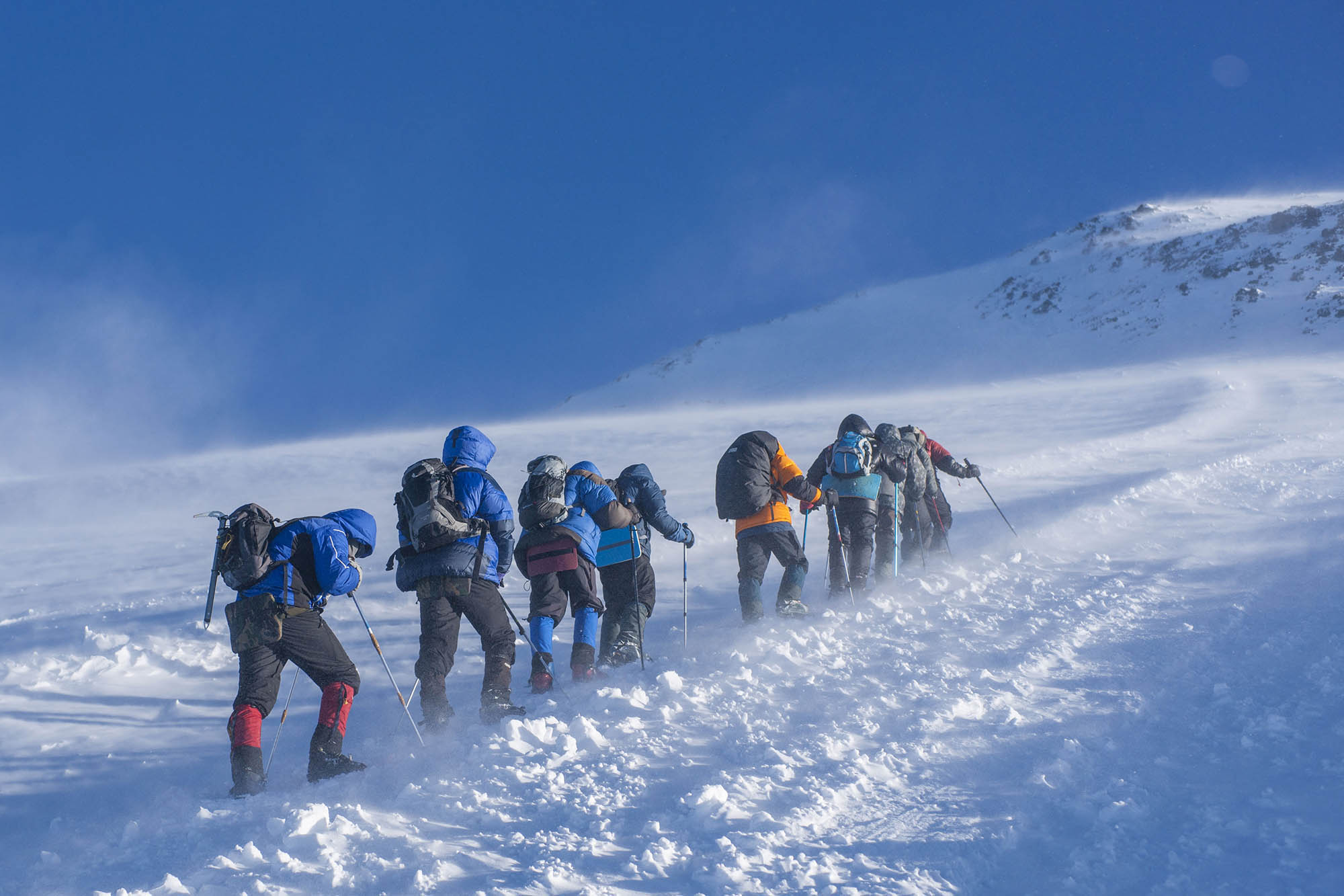 expedition img